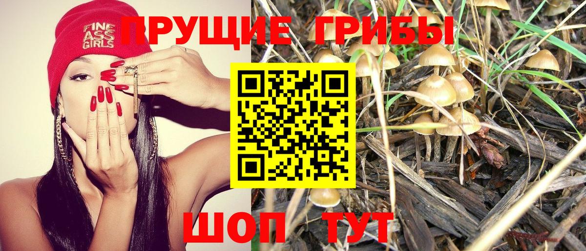 Галлюциногенные грибы GOLDEN TEACHER  Псилоцибиновые грибы Cubensis  Нерюнгри  Вход с VPN 